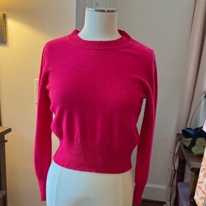 J. Crew Vibrant Pink Crew Neck Sweater